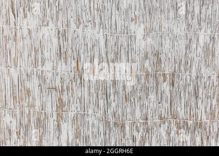 Weiße Farbe auf Strohzaun, Seil trocken Rohr abstrakt natürlichen Muster Textur Hintergrund. Stockfoto