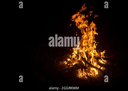 Feuer im Dunkeln. Flamme aus brennendem Holz. Feuerzungen in der Nacht. Stockfoto