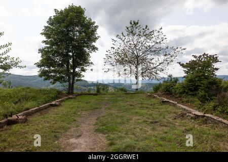 Natzwiller, Frankreich. August 2021. Die Grundmauern einer Baracke ragen aus einer Rasenfläche hervor, während die Berge und Täler der Vogesen im Hintergrund zu sehen sind. Im ehemaligen Nazi-Konzentrationslager Natzwiller-Struthof führt ein Team der Universität Straßburg archäologische Ausgrabungen im Steinbruch und in der Schmiede des Lagers durch. Quelle: Philipp von Ditfurth/dpa/Alamy Live News Stockfoto