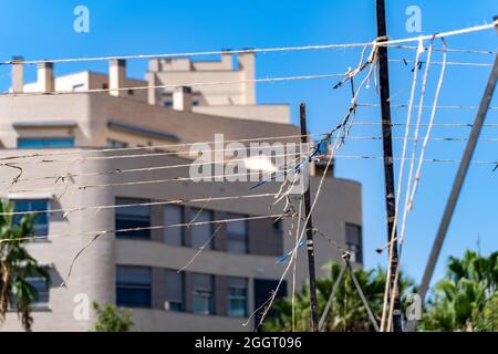 Valencia, Spanien. September 2021. Blick auf die Mascleta der Pyrotechnik Tomas. Eine Mascleta ist eine pyrotechnische Aufnahme, die eine sehr laute und rhythmische Komposition bildet, die mit festlichen Motiven auf Plätzen und Straßen abgefeuert wird, in der Regel während des Tages; Es ist typisch für die Valencianische Gemeinschaft. Das Fallas-Festival findet vom 1. Bis 5. September mit sanitären Einschränkungen statt. (Foto: Xisco Navarro/SOPA Images/Sipa USA) Quelle: SIPA USA/Alamy Live News Stockfoto