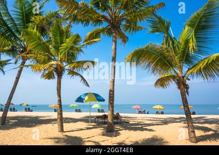 Wunderschöne Landschaft mit großen grünen Palmen im Vordergrund, im Hintergrund mit Sonnenschirmen und Sonnenliegen an einem schönen exotischen Strand in Sout Stockfoto