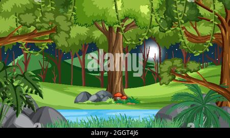 Naturwald bei Nacht Szene mit vielen Bäumen Illustration Stock Vektor