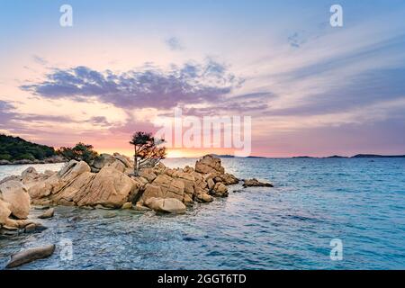 (Selektiver Fokus) atemberaubender Blick auf den Capriccioli-Strand mit einigen Wacholderbäumen und einer Granitküste, die bei Sonnenuntergang von einem türkisfarbenen Meer umspült wird. Stockfoto