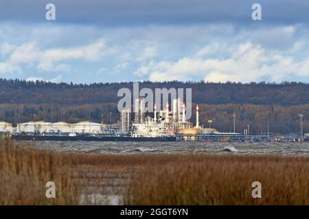 USt-Luga-Ölterminal, baltisches Rohrleitungssystem. Russland. Blick vom Meer und Schilf Stockfoto