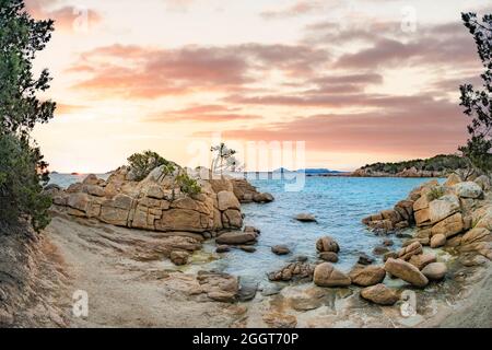 (Selektiver Fokus) atemberaubender Blick auf den Capriccioli-Strand mit einigen Wacholderbäumen und einer Granitküste, die bei Sonnenuntergang von einem türkisfarbenen Meer umspült wird. Stockfoto