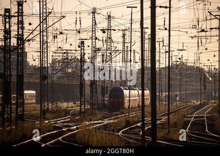 Nürnberg, Deutschland. September 2021. Die Morgensonne scheint über den Gleisen am Hauptbahnhof. Quelle: Daniel Karmann/dpa/Alamy Live News Stockfoto