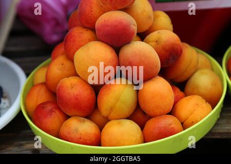 Aprikosen auf dem lokalen Bauernmarkt, Öko-Früchte, saftige Produkte. Einkaufen von Produkten aus der Bio-Saison. Gesundes Lebensmittelgeschäft. Früchte mit Wassertropfen. Hochwertige Fotos Stockfoto