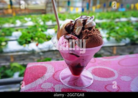 Drei Kugeln Eis auf dem Tisch. Erdbeerschokolade-Vanille-Eis-Kegel mit einem Löffel auf dem Hintergrund der Erdbeerfarm. Stockfoto