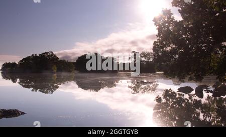 Spiegelung von Bäumen in einem See. Helles, blasses Morgenlicht bricht durch die Bäume. Stockfoto