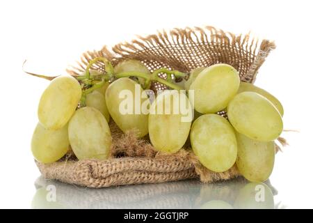 Ein Bund organischer saftiger grüner Trauben mit Jute-Beutel, Nahaufnahme, isoliert auf Weiß. Stockfoto