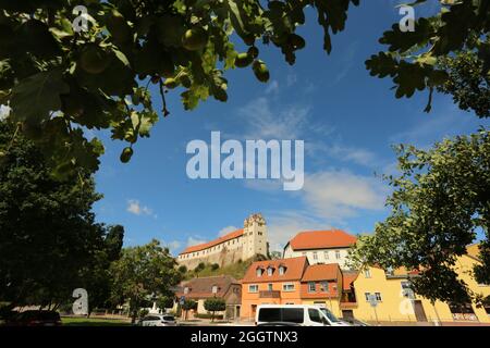 26. August 2021, Sachsen-Anhalt, Löbejün: Das historische Schloss Wettin thront auf einem Felsen im Hintergrund. Foto: Matthias Bein/dpa-Zentralbild/ZB Stockfoto