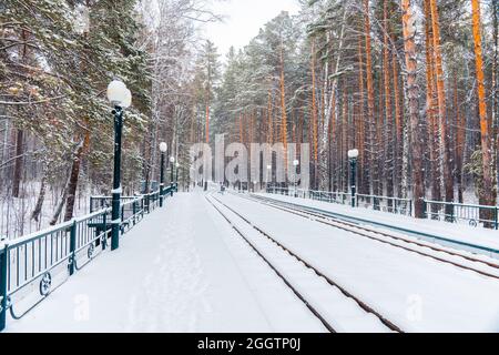 Schneebedeckte Bahnhof in schönen Winterwald. Winterlandschaft mit starkem Schneefall. Stockfoto