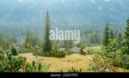 Tatra-Nationalpark, Polen. Small Mountains Lake Zabie Oko Oder Male Morskie Oko Am Sommermorgen. Five Lakes Valley. Wunderschöner Ausblick. Europäisch Stockfoto