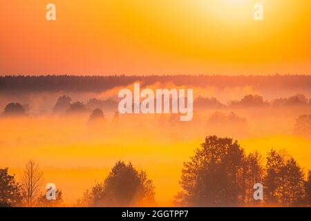 Erstaunliches Sonnenaufgang Licht Über Misty Landschaft. Malerische Aussicht Auf Foggy Morning In Misty Forest Park Woods. Sommer Natur Von Osteuropa. Dramatische Sonnenuntergänge Stockfoto