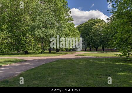 Üppiges Grün des Parks auf Kants Insel in Kaliningrad im Frühling Stockfoto