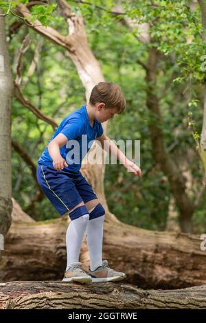 Jungen Freude, Überraschung, erkunden, trainieren, Vorsicht, Vorsichtig, klettern, klettern, balancieren auf einem abgefallenen Baumstamm im Wald. Natur Fi Stockfoto