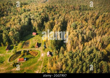 Weißrussland, Biosphärenreservat Beresinsky. Blick aus der Vogelperspektive auf den Touristenkomplex Nivki am sonnigen Herbsttag. Panorama Stockfoto