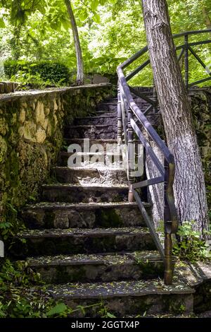 Malerischer Blick auf Steintreppen im Park. Alte Holztreppe, die nach oben führt. Aufwärtsbewegung. Vertikales Foto. Stockfoto