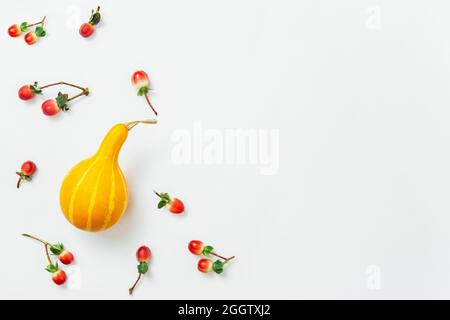 Herbstmockup. Herbstmuster mit roten Herbstbeeren und orangefarbenem Kürbishintergrund auf Weiß. Herbstkomposition, Herbstkonzept. Flach liegend, Draufsicht und c Stockfoto