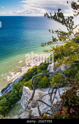 Blick auf die Kreideküste und den Ostseestrand vom Königsstuhl, Deutschland, Mecklenburg-Vorpommern, Rügen Stockfoto