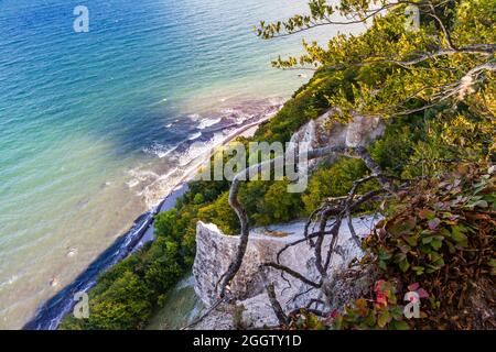 Blick auf die Kreideküste und den Ostseestrand vom Königsstuhl, Deutschland, Mecklenburg-Vorpommern, Rügen Stockfoto