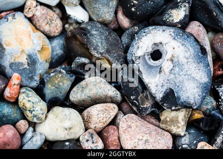 flintstein mit erodiertem Loch, Huehnergott, Deutschland, Mecklenburg-Vorpommern, Rügen Stockfoto