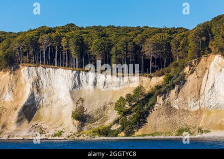 Kreideküste mit Buchenwald, Nationalpark Jasmund, Deutschland, Mecklenburg-Vorpommern, Rügen Stockfoto