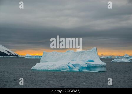 Schwimmende Eisberge im antarktischen Meer, nahe der Antarktischen Halbinsel , Antarktis Stockfoto