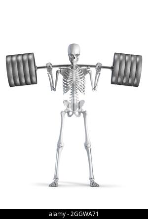 Fitness Skelett Squat - 3D-Illustration der männlichen menschlichen Skelett Figur Hocke schwere Langhantel isoliert auf weißem Studio-Hintergrund Stockfoto