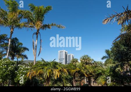 Schöner Park und Zwillingstürme im Hintergrund in Santa Cruz de Teneriffa, Gran Canaria, Spanien Stockfoto