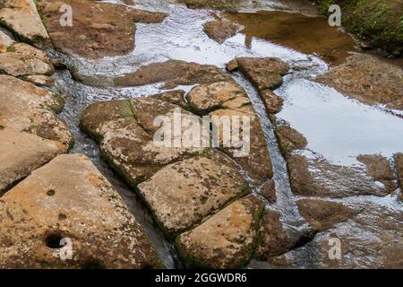 Alte Flussbettschnitzungen genannt Fuente de Lavapatas im archäologischen Park in San Agustin, Kolumbien Stockfoto