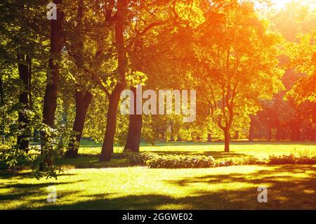 Herbstlandschaftsansicht des Herbstparks mit vergilbten Herbstbäumen bei sonnigem Wetter Stockfoto