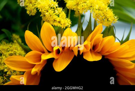 Abstrakte Nahaufnahme von Sonnenblumen, die durch natürliches Licht aus einem nahegelegenen Fenster aufgenommen wurden Stockfoto