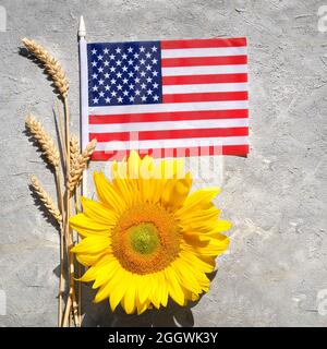 Herbstdekor mit Thanksgiving-Flagge, Sonnenblumen und Weizenohren. Flach liegend, Draufsicht auf grauem strukturiertem Hintergrund. Quadratische Zusammensetzung. Amerikanisch Stockfoto