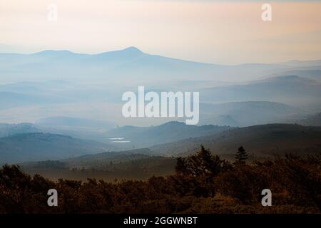 Dieses Bild wurde auf dem Fredonyer Peak im Lassen County, Kalifornien, USA, aufgenommen, als der Wildfanzünch verträumte Schichten in der Landschaft schuf. Stockfoto