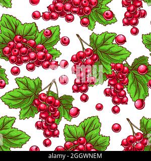 Schöner nahtloser Hintergrund mit roten Johannisbeeren Stock Vektor