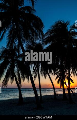 Abend an einem Strand im Dorf Playa Giron, Kuba. Stockfoto