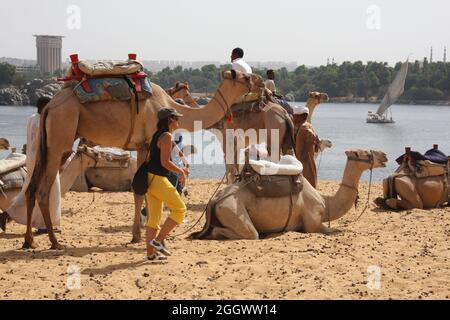 Beduinendorf in der nubischen Wüste, Sahara, Ägypten Stockfoto