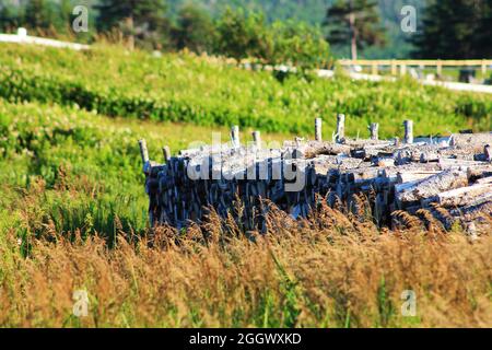 Nahaufnahme eines Holzstapels in einem grasbewachsenen Feld. Konzentrieren Sie sich auf Holzstapel im Vordergrund, Wiese, Zäune, Baumlinie und Baumbedeckungshügel außerhalb des Fokus im Hintergrund. Stockfoto