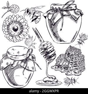 Niedliches Honigset. Honiggläser, Bienen, Honigwaben. Handgezeichnete Illustration Stock Vektor