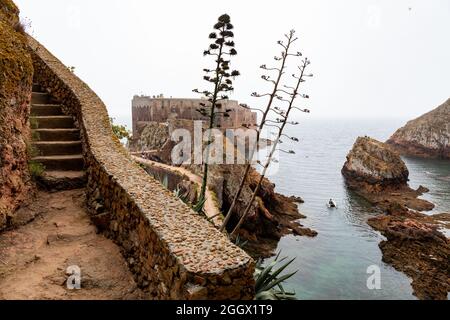 Pfad das Fort von St. Johannes dem Täufer auf der Berlenga Grande Insel, der größten Insel im Berlengas Archipel, Portugal. Stockfoto