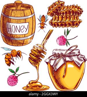 Niedliches Honigset. Honiggläser, Bienen, Honigwaben. Handgezeichnete Illustration Stock Vektor
