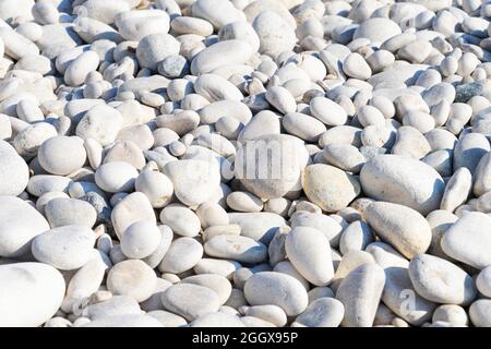 Hintergrund mit kleiner Steinstruktur. Muster aus weißen, grauen, glatten Kieselsteinen am Meer. Draufsicht Stockfoto