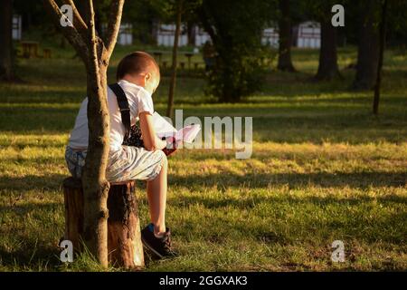 Kleiner Junge, der mit dem Rücken auf einem Baumstumpf im Park sitzt und ein Buch liest Stockfoto