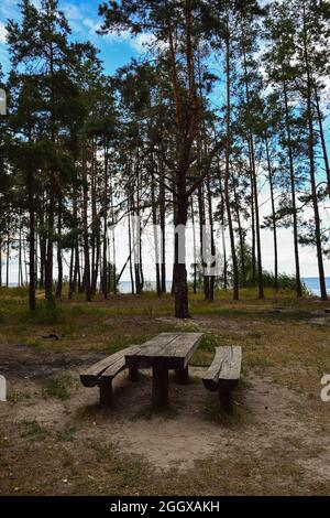 Rustikaler Holztisch und zwei Bänke, die in einem Pinienwald am Meer in den Boden gegraben wurden Stockfoto