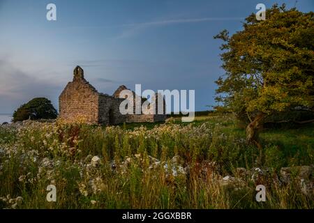 Din Lligwy 28-08-21 Stockfoto