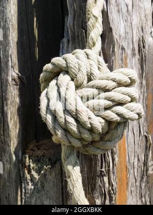 Ein Türkenknoten in einem großen Seil auf einem strukturierten Holzhintergrund Stockfoto