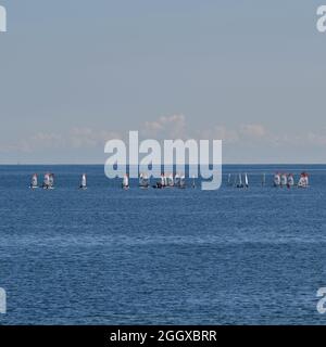 22. August 2021. Gdynia. Kleine Segelschiffe an der Bucht von Gdanska in Gdynia Stockfoto