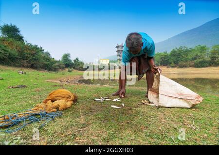 Gar Panchkot, Purulia, Westbengalen, Indien - 23.. Dezember 2015 : Ein einzellierter Fischer, der Fische aus dem Teich zählt. Indien mit vielen Teichen . Stockfoto