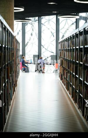 Studierende studieren in einer Bibliothek. Stockfoto